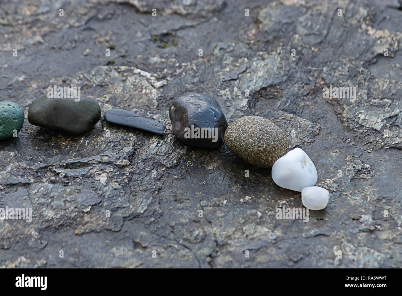 Hübsche Felsen alle aufgereiht auf einer Steinplatte Stockfoto