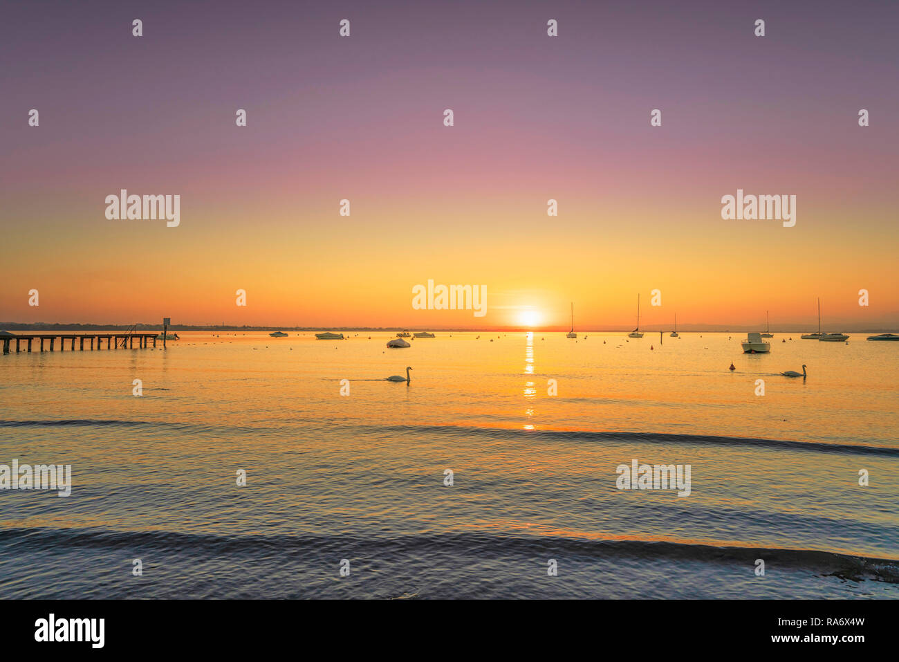 Gardasee, Schwäne und Holzsteg oder Pier, panorama Blick von Pacengo Lazise. Verona, Venetien Italien Europa. Stockfoto