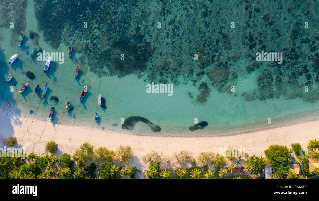 Strand und Boote auf die thian Og Bay oder Shark Bay, Koh Tao, Thailand Stockfoto