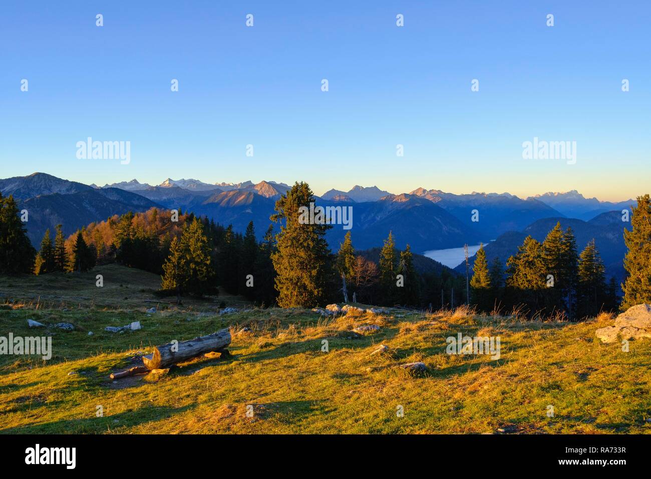 Sonnenaufgang auf der hohen Alm in der Nähe von Lenggries, Blick auf das Karwendel und Zugspitze, Isarwinkel, Oberbayern, Bayern Stockfoto