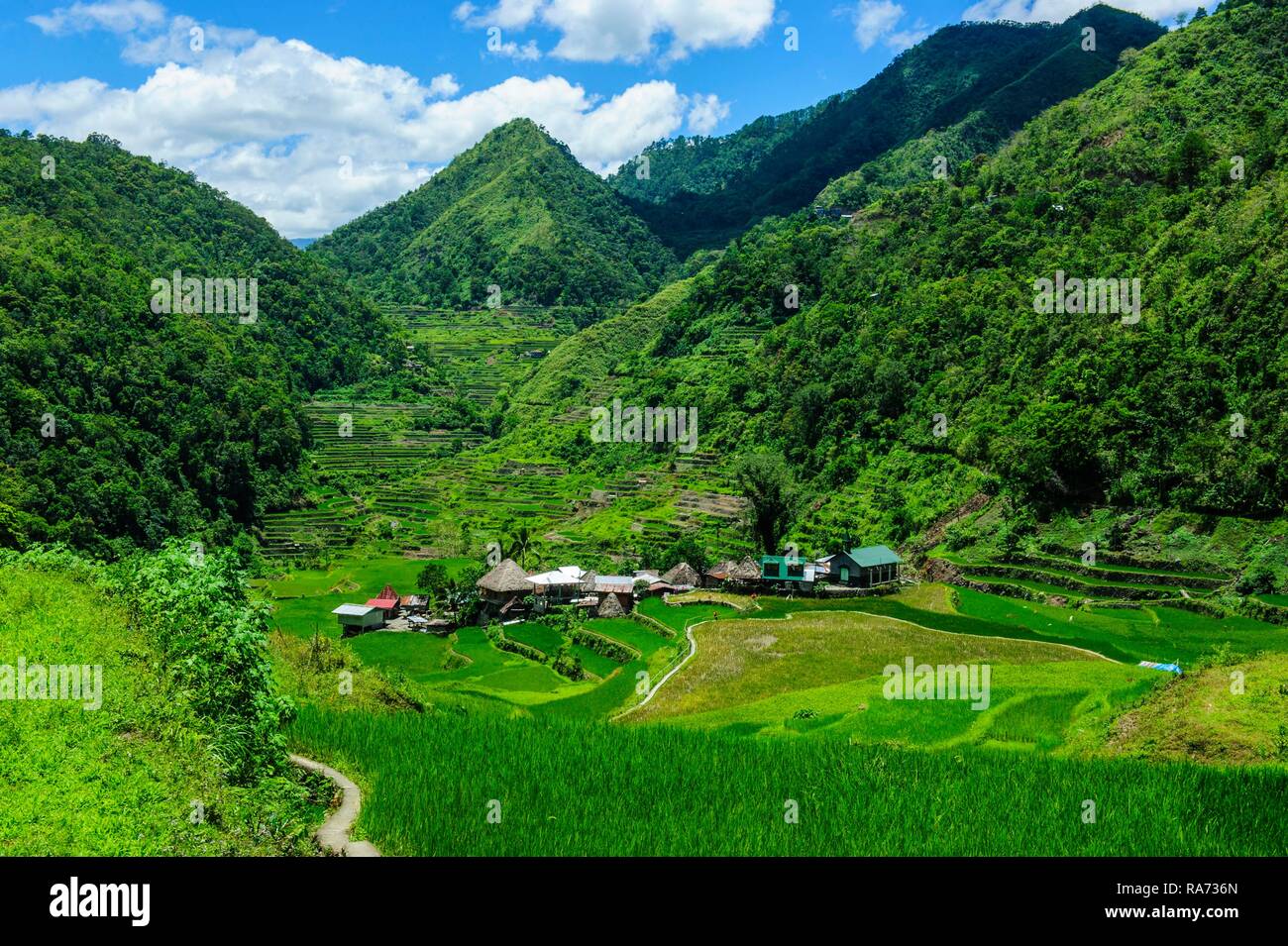 Bangaan in die Reisterrassen von Banaue, nördlichen Luzon, Philippinen Stockfoto