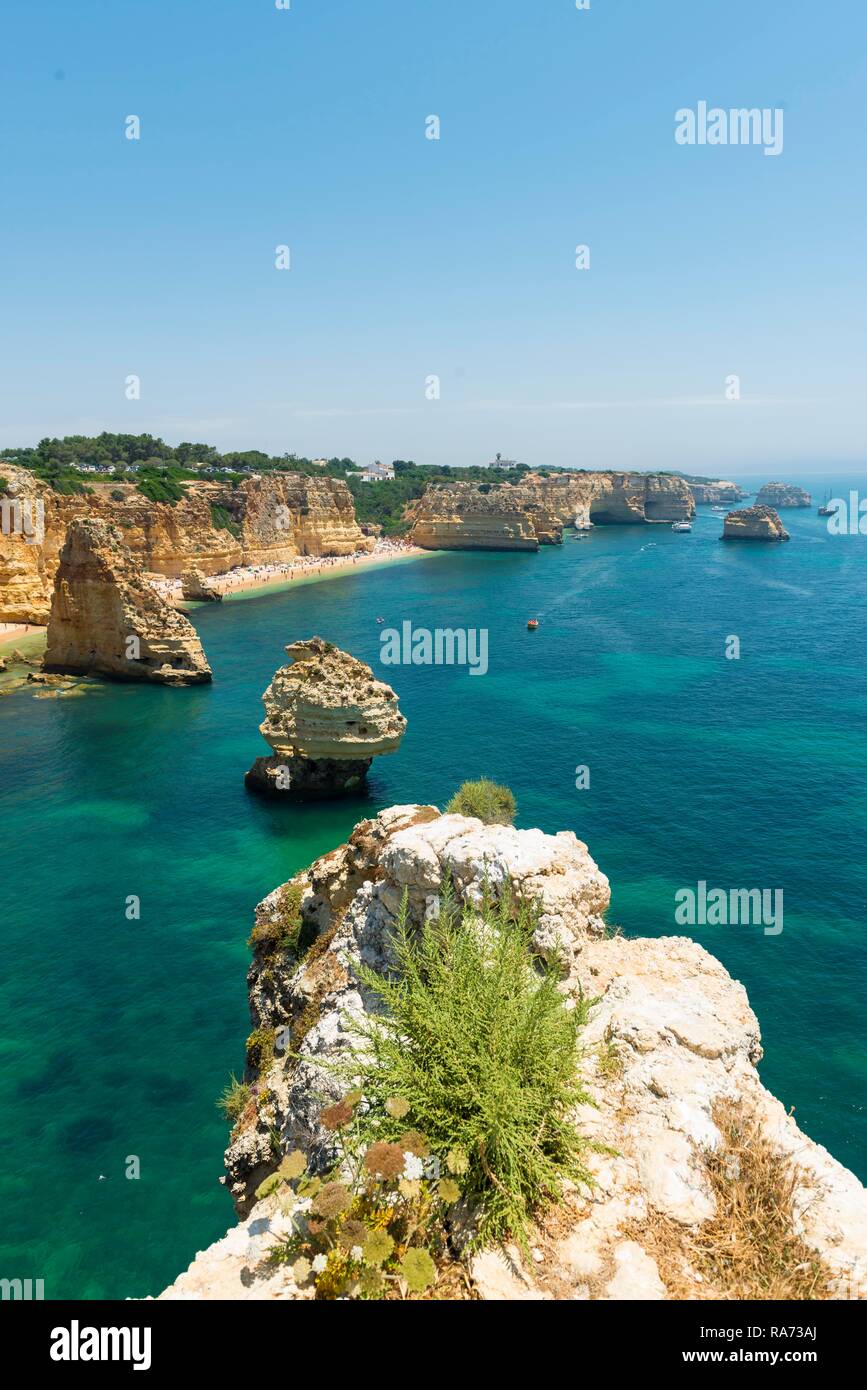 Türkisblaues Meer, Praia da Marinha, Schroffe Felsenküste von Sandstein, Felsformationen im Meer, Algarve, Lagos, Portugal Stockfoto
