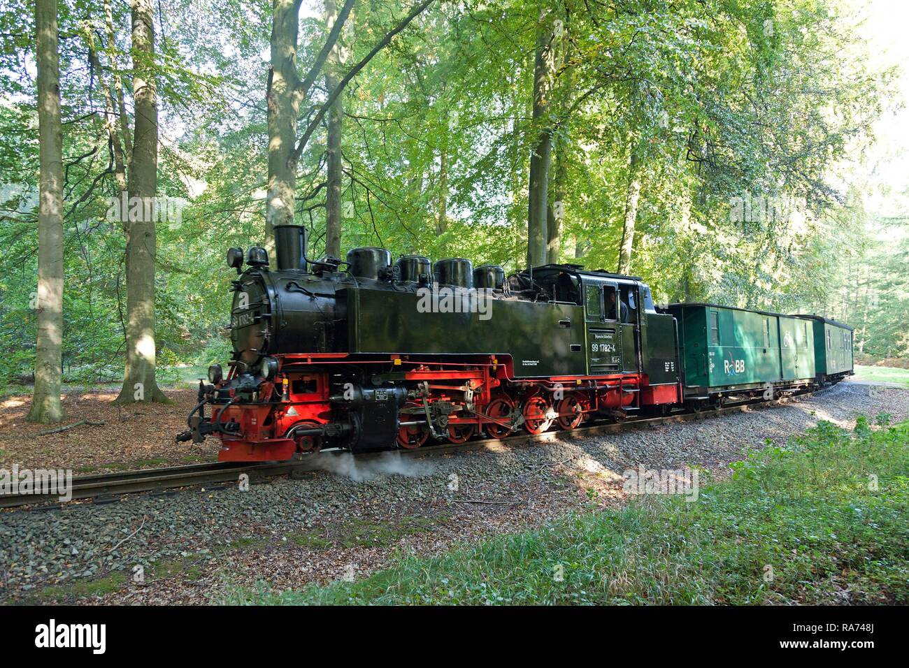 Rügensche Bäderbahn Eisenbahn, Jagdschloss, Rügen, Mecklenburg-Vorpommern, Deutschland Stockfoto