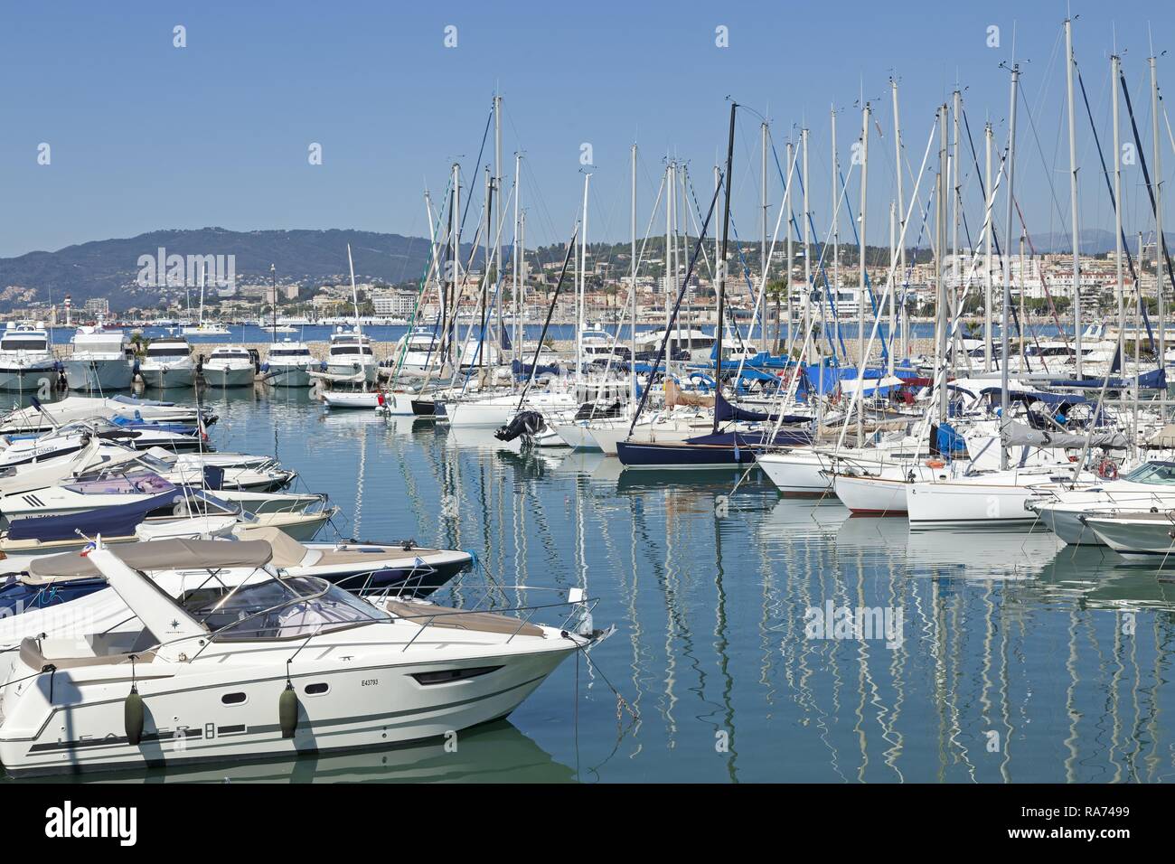 Marina, Cannes, Côte d'Azur, Provence - Alpes - Côte d'Azur, Frankreich Stockfoto