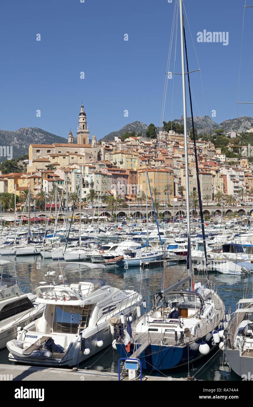 Altstadt und Marina, Menton, Côte d'Azur, Provence - Alpes - Côte d'Azur, Frankreich Stockfoto