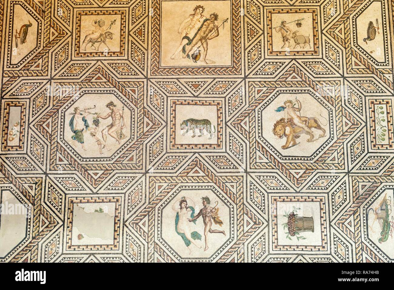 Römisches Fußbodenmosaik, Dionysos Mosaik, Römisch-Germanisches Museum,  Köln, Nordrhein-Westfalen, Deutschland Stockfotografie - Alamy