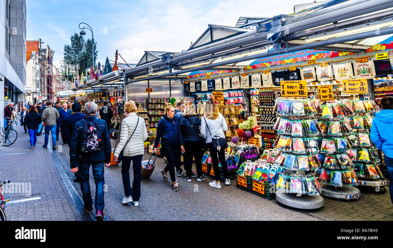 Souvenirläden an der berühmten Bloemenmarkt (Blumenmarkt) entlang der Singel Kanal im Zentrum von Amsterdam in den Niederlanden Stockfoto