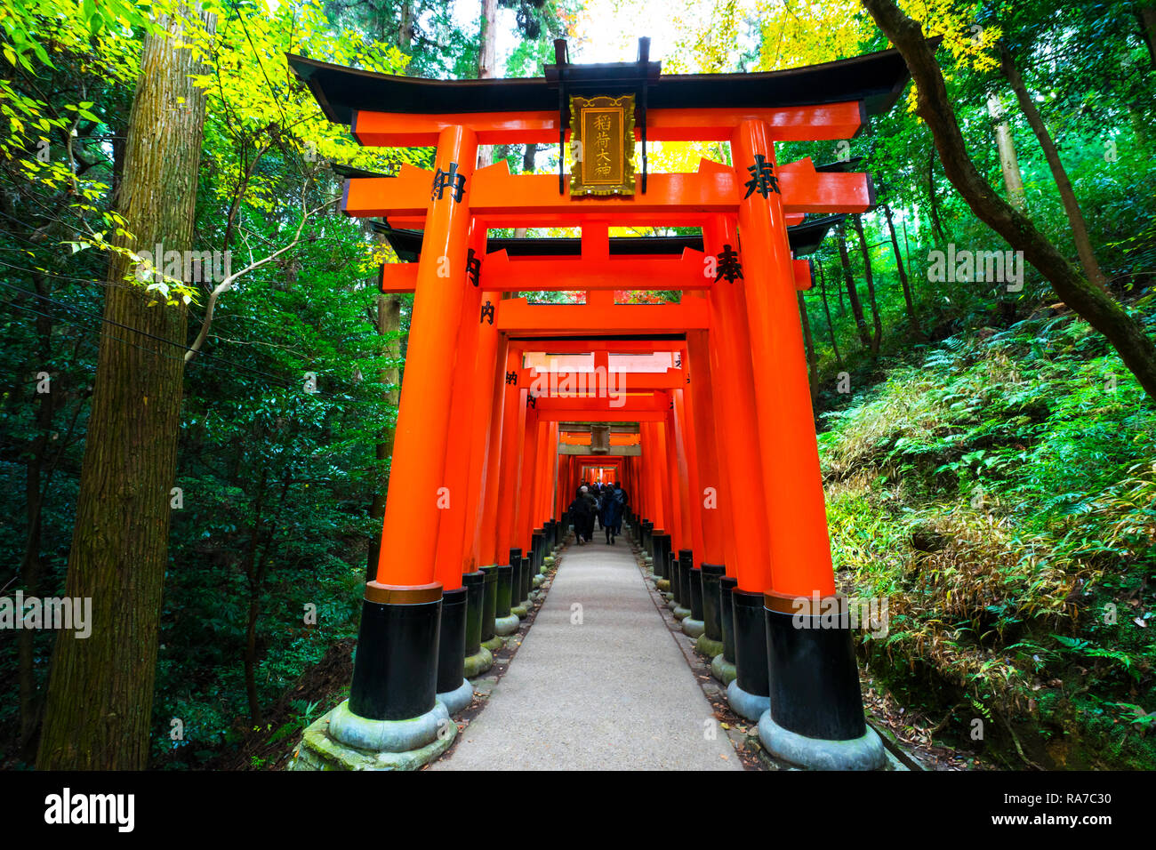 Senbon Torii in Fushimi Inari Schrein. Fushimi Inari Schrein ist das Heiligtum des Gottes in Fushimi Inari. Diese Station in Kyoto, Japan. Stockfoto