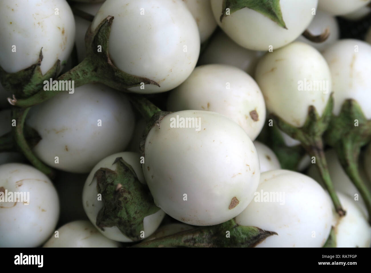 Weiße Auberginen für Verkauf, Co Giang Markt, Ho Chi Minh City, Vietnam Stockfoto