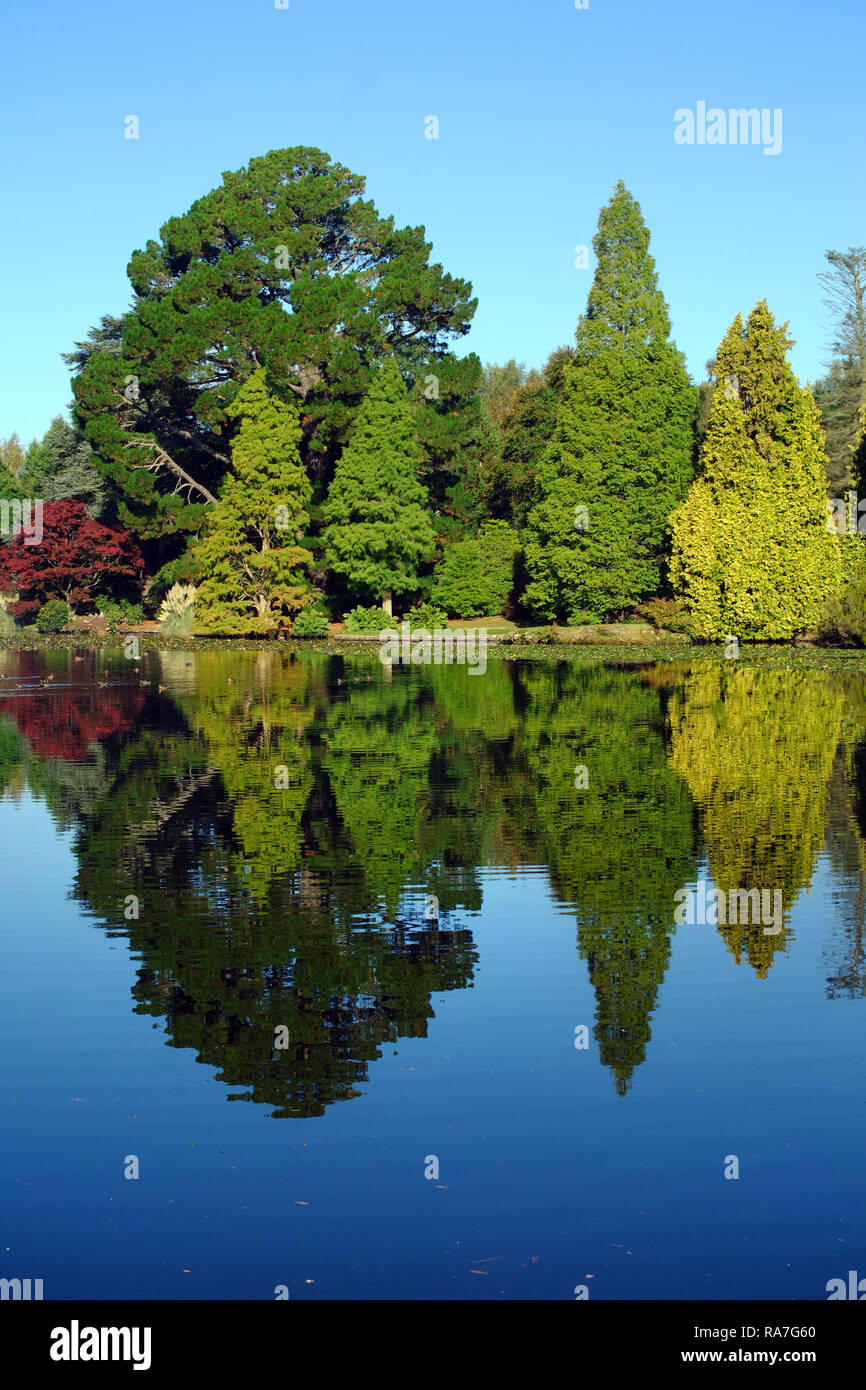 Herbstfarben in Sheffield Park Gardens, East Sussex, Großbritannien Stockfoto