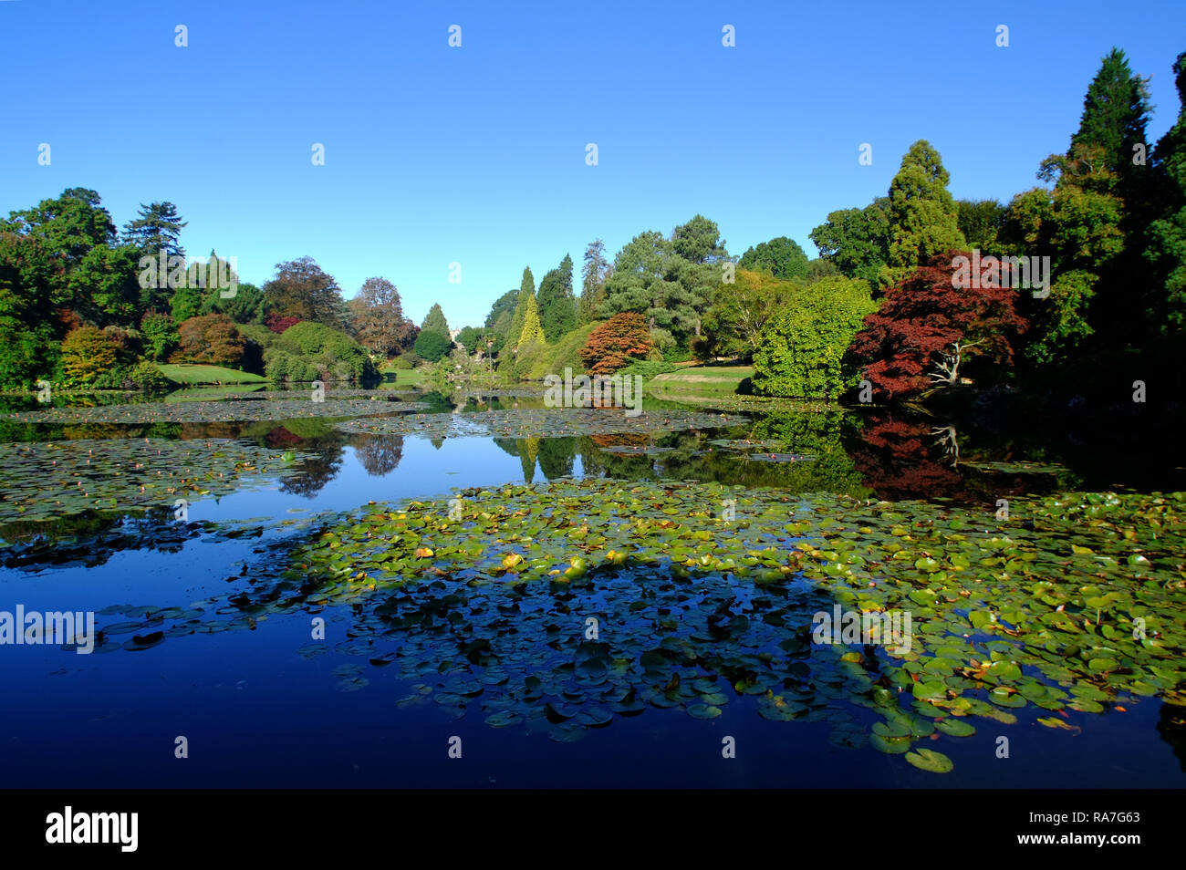 Herbstfarben in Sheffield Park Gardens, East Sussex, Großbritannien Stockfoto