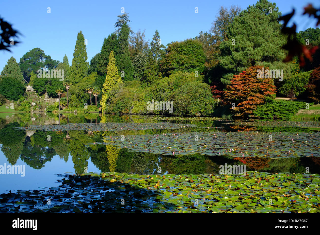 Herbstfarben in Sheffield Park Gardens, East Sussex, Großbritannien Stockfoto