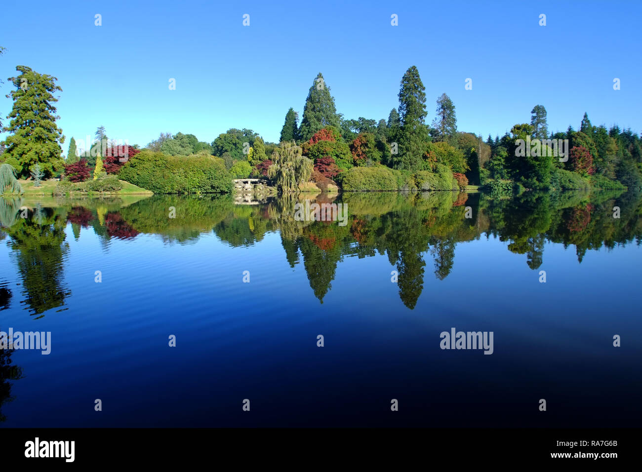 Herbstfarben in Sheffield Park Gardens, East Sussex, Großbritannien Stockfoto