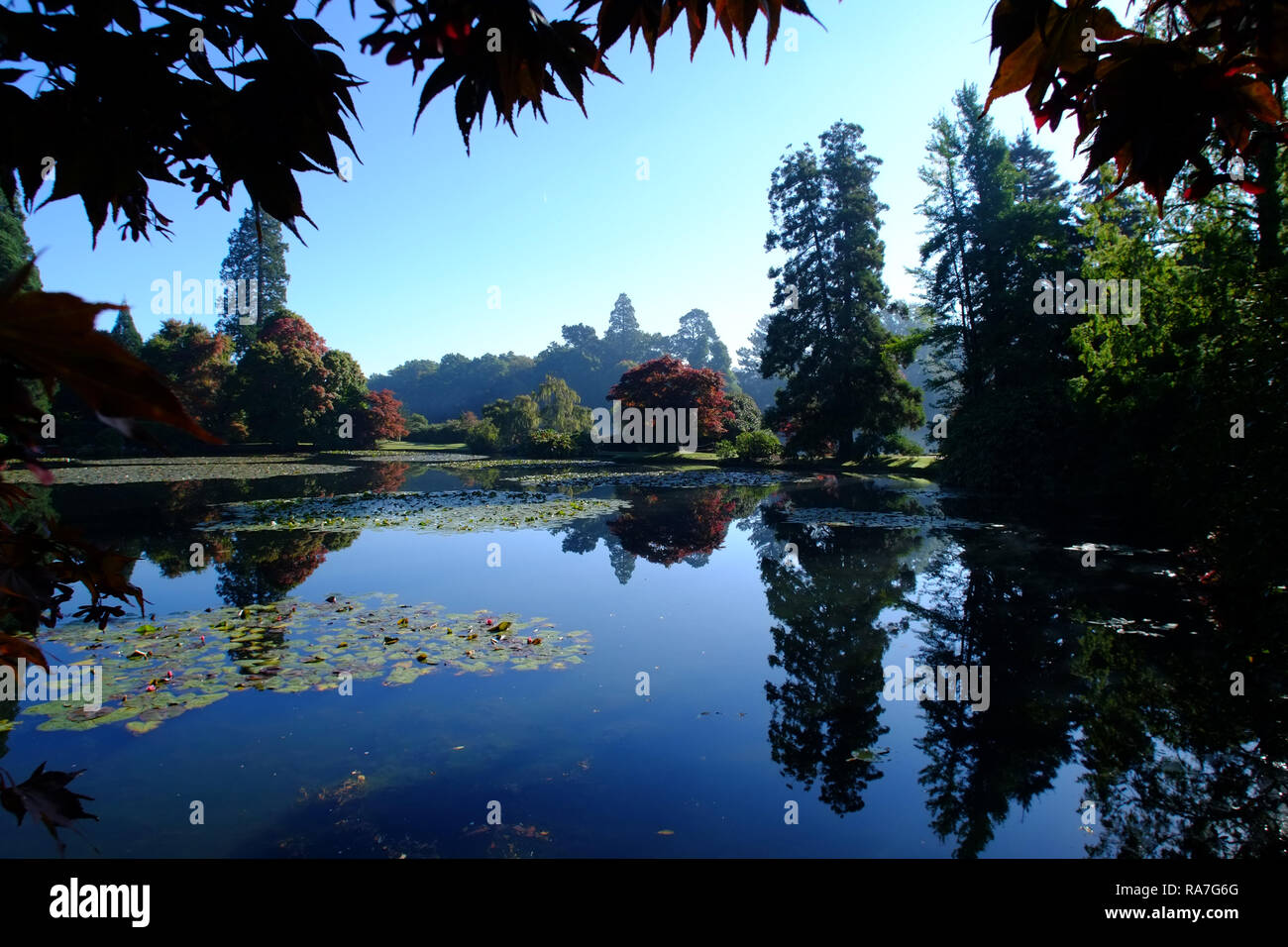 Herbstfarben in Sheffield Park Gardens, East Sussex, Großbritannien Stockfoto