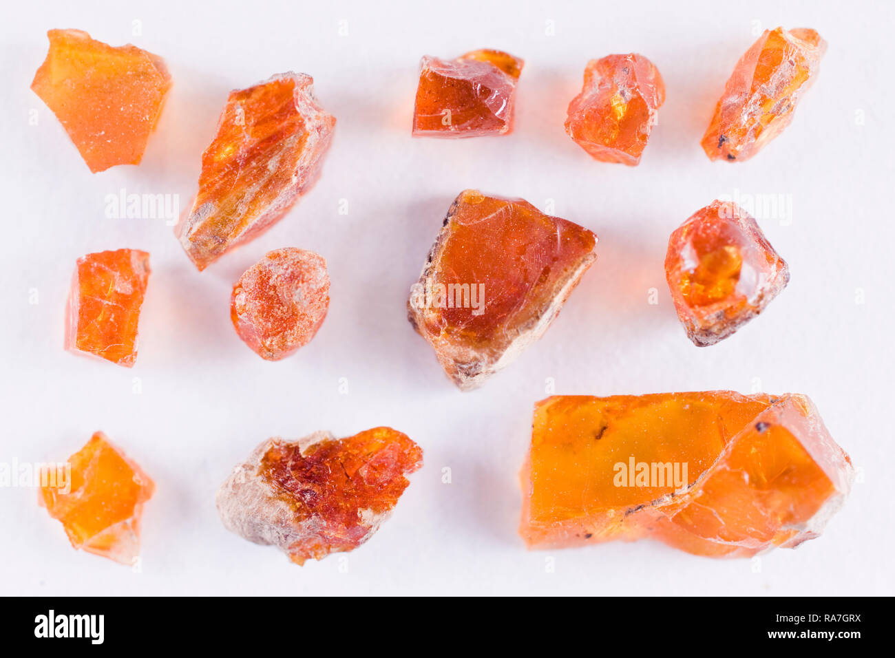 Amber aus Tiger Mountain, King County, Washington State, USA, legal gesammelt mit Geology Adventures Stockfoto