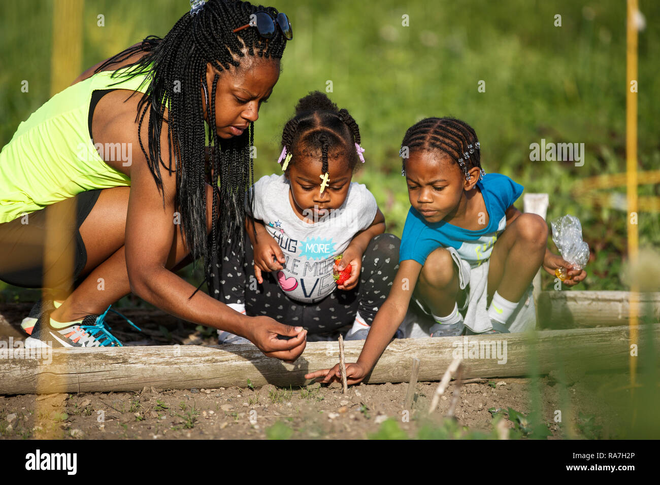 Eine Mutter mit ihren beiden kleinen Töchtern in ihrer Gemeinschaft garten Grundstück Stockfoto