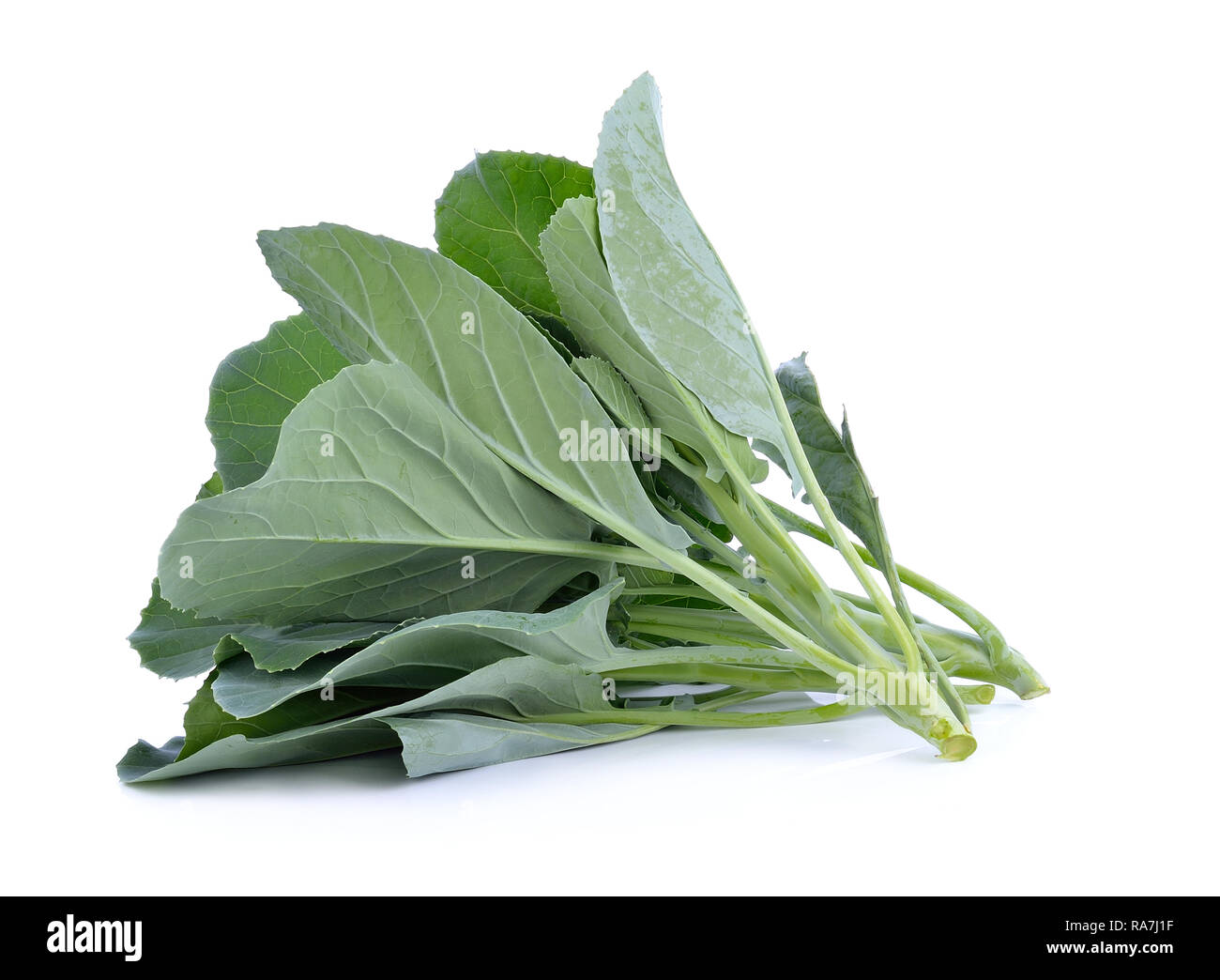 Chinesischer Brokkoli isoliert auf weißem Hintergrund Stockfoto
