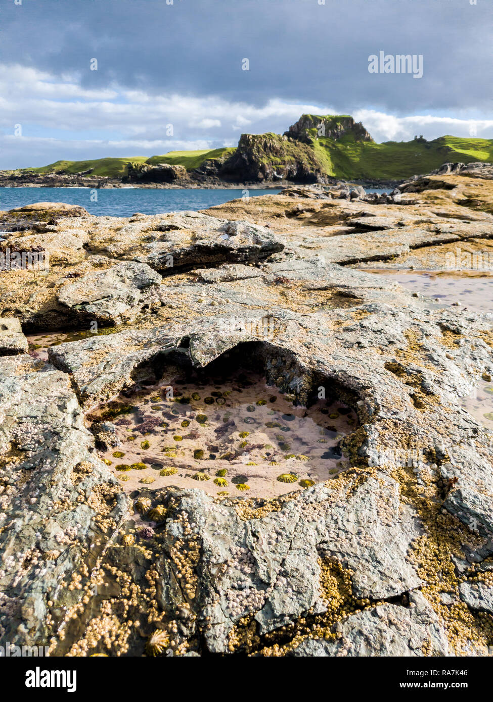 Seltene Dinosaur Footprint der Sauropoden - dominiert von tracksite Rubha nam Brathairean, Brüder - Isle of Skye, Schottland. Stockfoto