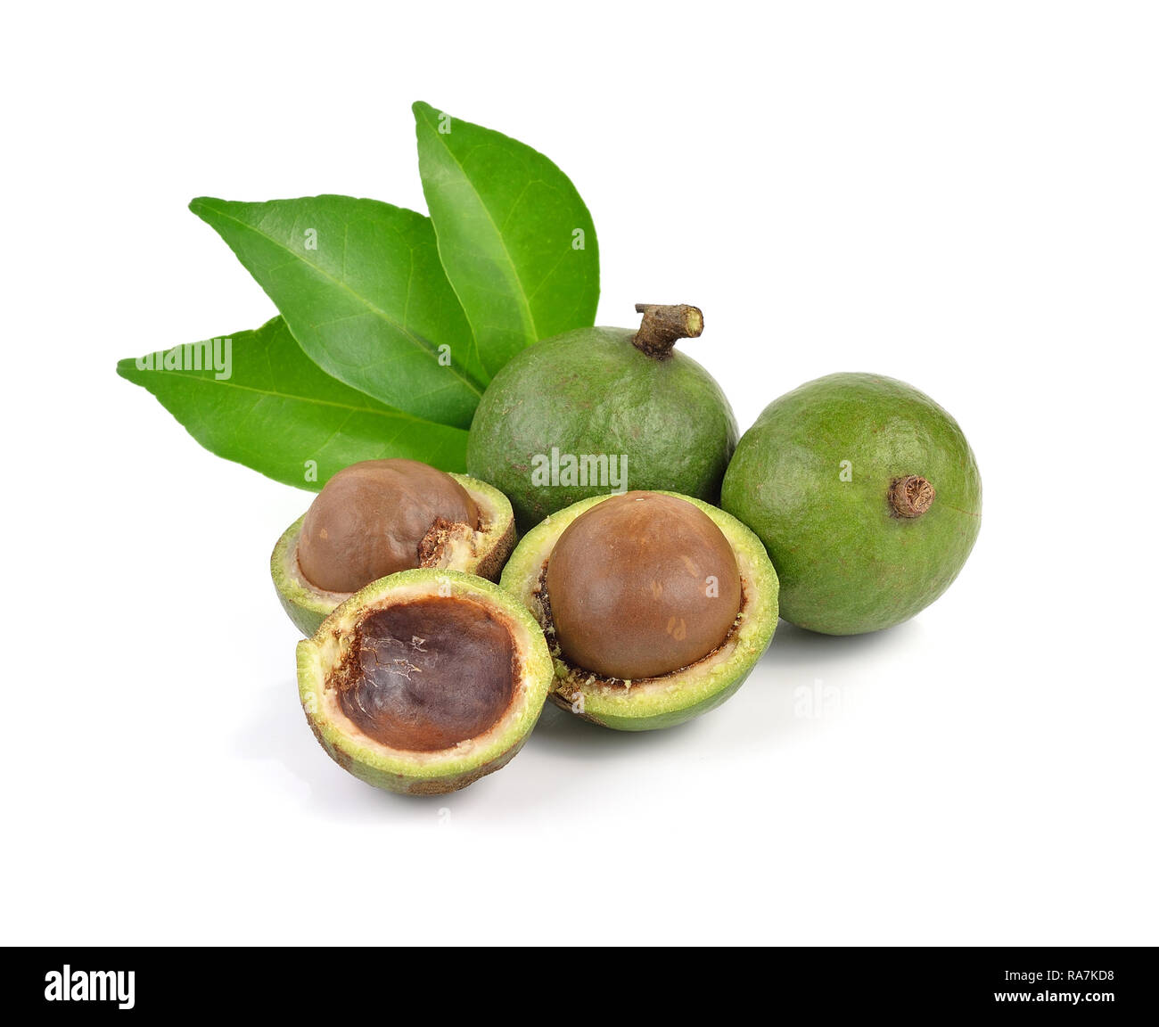 Macadamia-Nüssen auf weißem Hintergrund Stockfoto