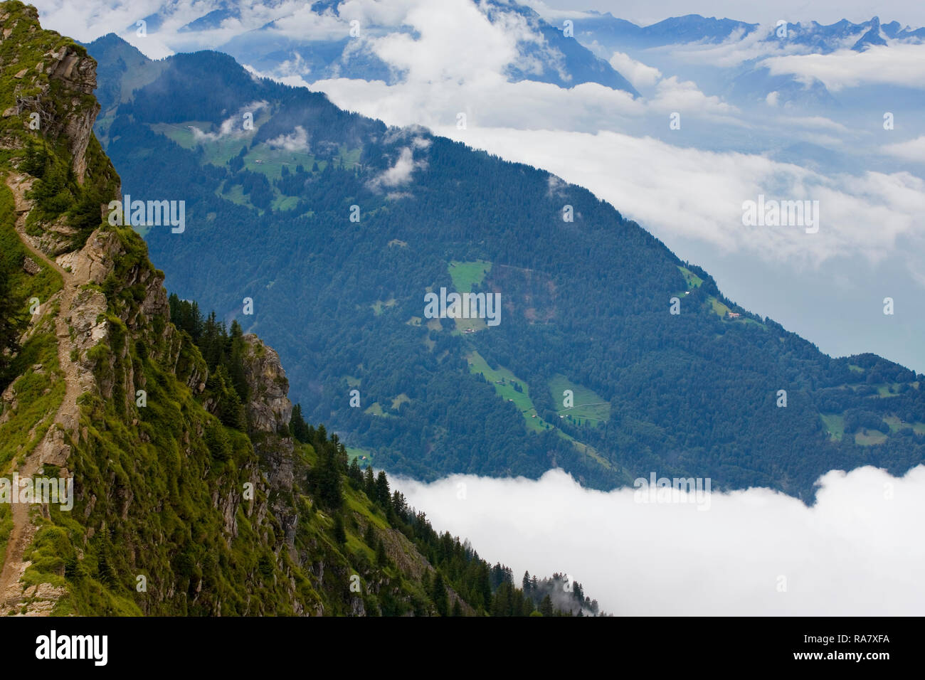 Über den Wolken: der Panoramaweg, Schynige Platte, Berner Oberland,  Schweiz, aus dem Oberberghorn, mit Wolken füllen das Lauterbrunnental  Stockfotografie - Alamy