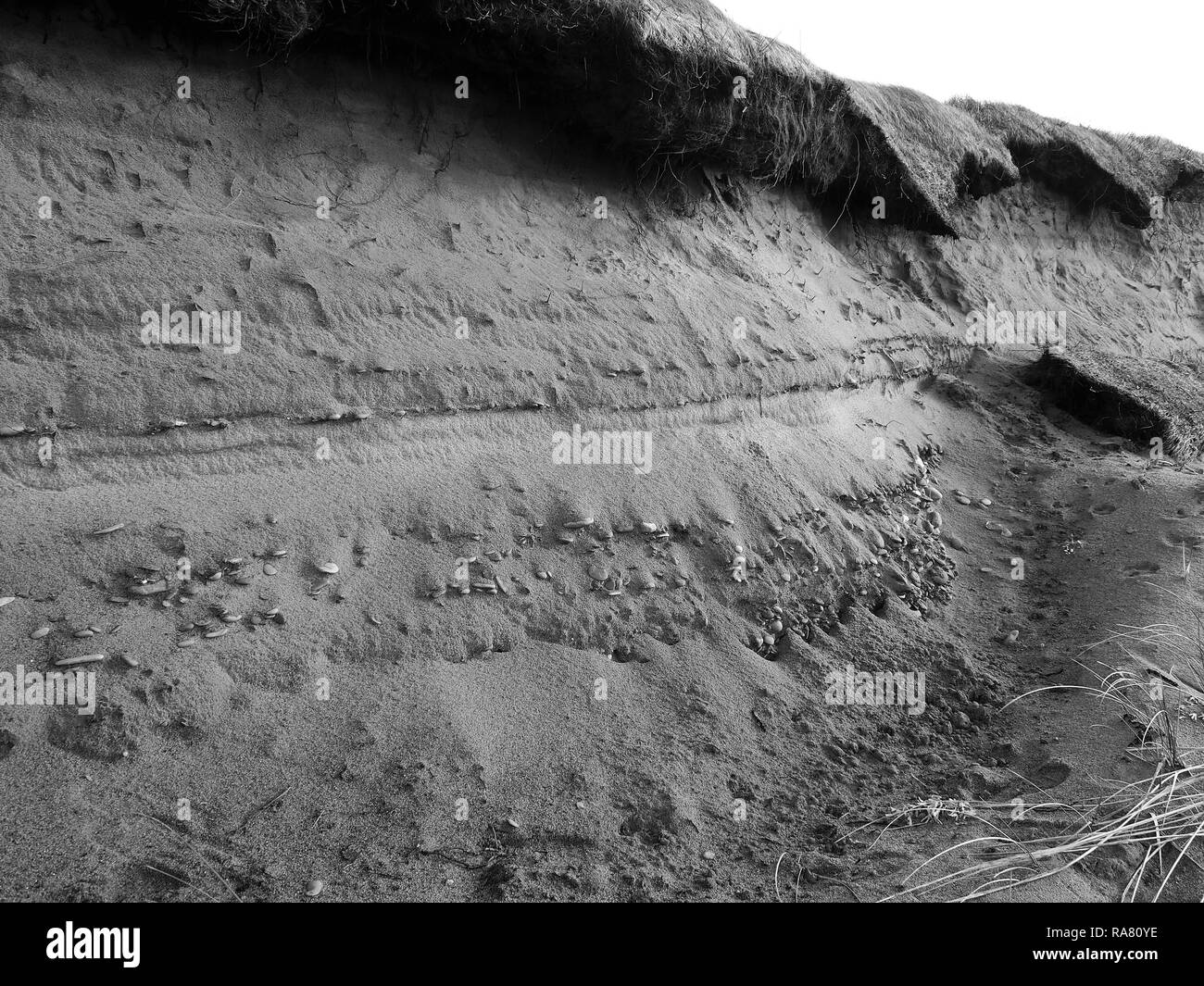 Schichten von Kies eingebettet in eine Sandbank, Allonby Bay, Solway Firth AONB, Cumbria, England, Vereinigtes Königreich Stockfoto