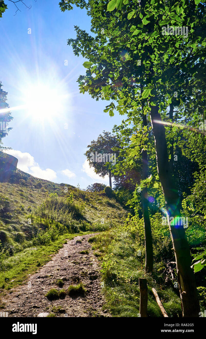 Sonnenschein an einem Hang mit Wanderweg. In Lohme auf der Insel Rügen. Stockfoto