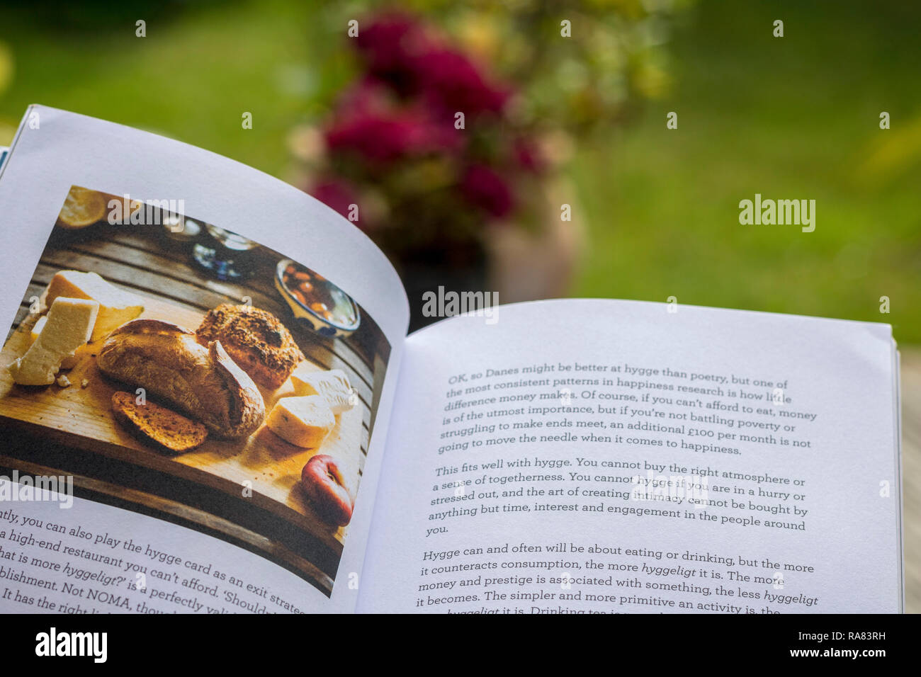 Offenes Buch Bild schreiben, lesen im Freien, hygge Konzept, entspannend, isoliert sich Ausfallzeiten, entspannen, Entspannung essen Garten erziehen verschwommen Stockfoto