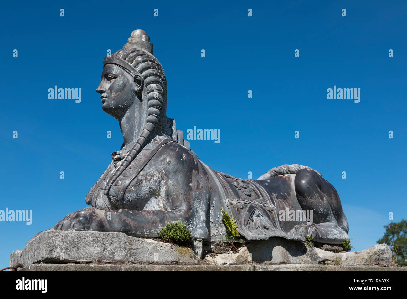 Zierpflanzen sphinx Statue an Hopetoun House Stockfoto