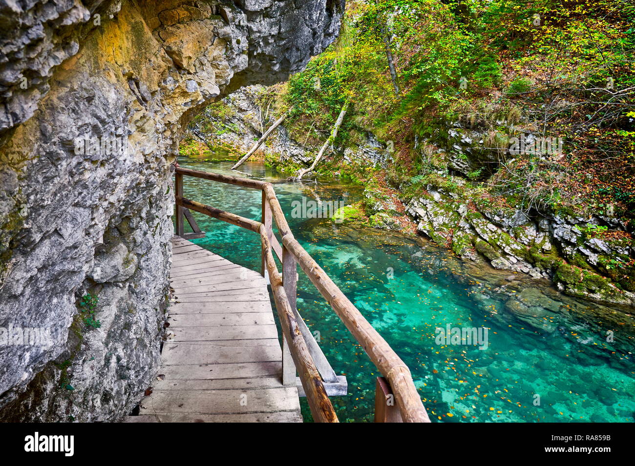 Slowenien - Vintgar Gorge, Triglav Nationalpark, julischen Alpen Stockfoto