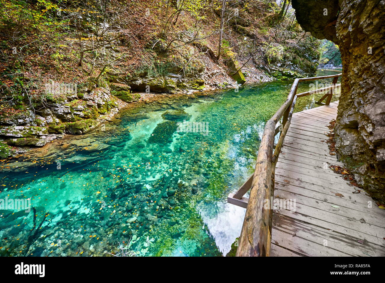 Schlucht Vintgar, Triglav Nationalpark, die Julischen Alpen, Slowenien Stockfoto