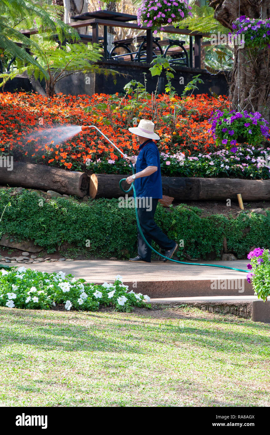 Leitende Mitarbeiterinnen und Mitarbeiter ist die Bewässerung der Blumengarten mit Sprühdüse im Botanischen Garten. Stockfoto