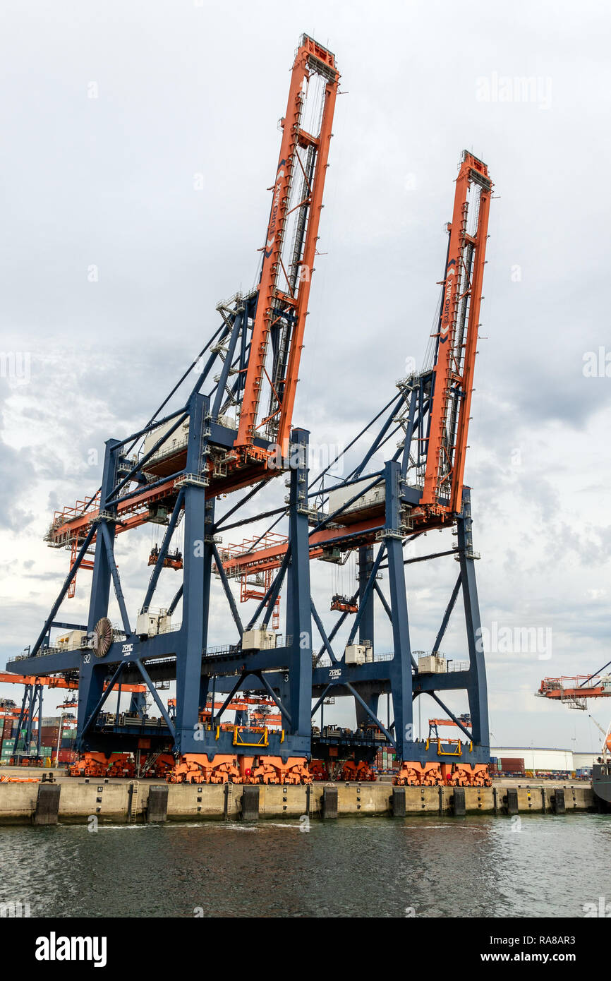 ROTTERDAM - 23.August 2017: Versand Krane in einem Container Terminal im Hafen von Rotterdam. Stockfoto