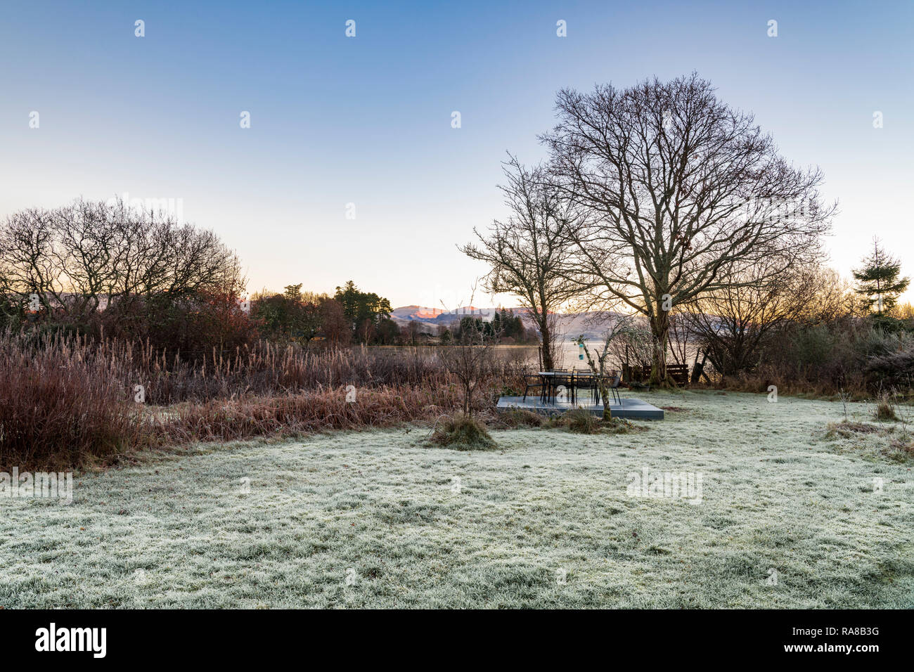 In einer frostigen Garten in Ardnamurchan, Schottland Dawn. 24. Dezember 2018 Stockfoto