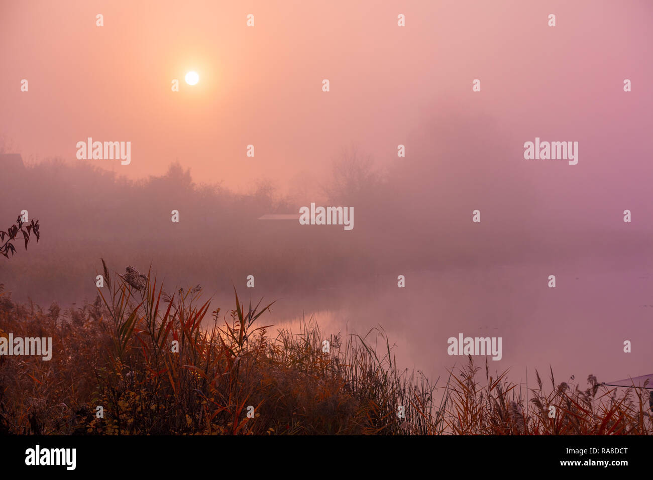 Am frühen Morgen, Sonnenaufgang über dem See. Ländliche Landschaft. Stockfoto