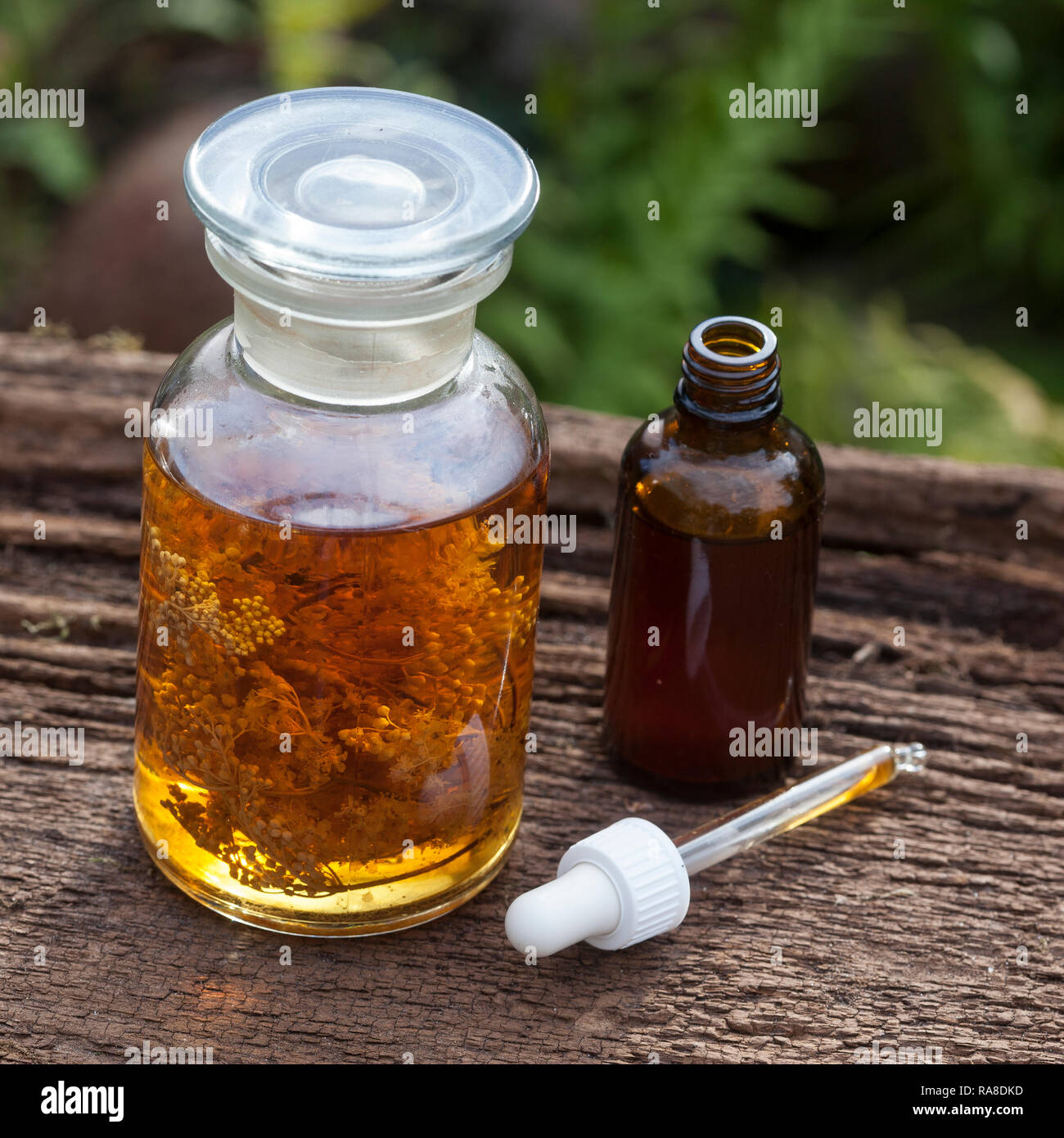 Mädesüß - Tinktur - Tinktur, Mädesüßblüten, Mädesüss-Tinktur, Sky von Mädesüß werdener In Alkohol ausgezogen, alkoholischer Auszug, Tinktur, Tinkturen, B Stockfoto