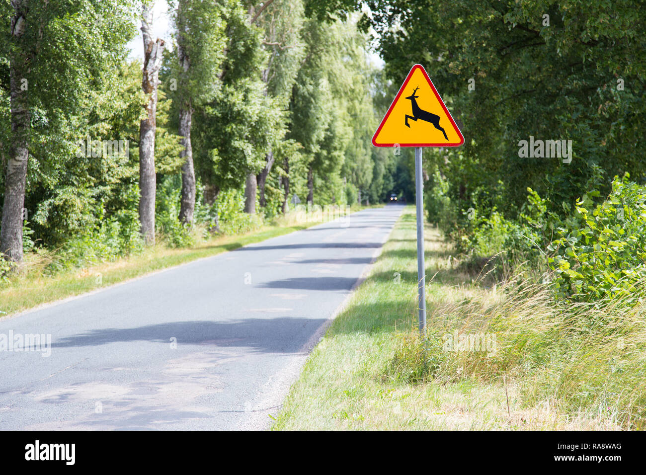 Tiere - Schild stehen am Straßenrand. Leeren Straße vor. Stockfoto