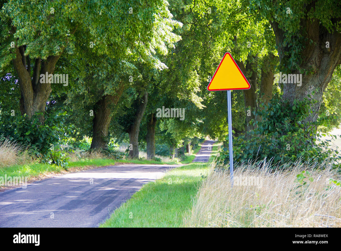 Leere Straße Zeichen stehen auf der Straße. Leeren Straße vor. Stockfoto