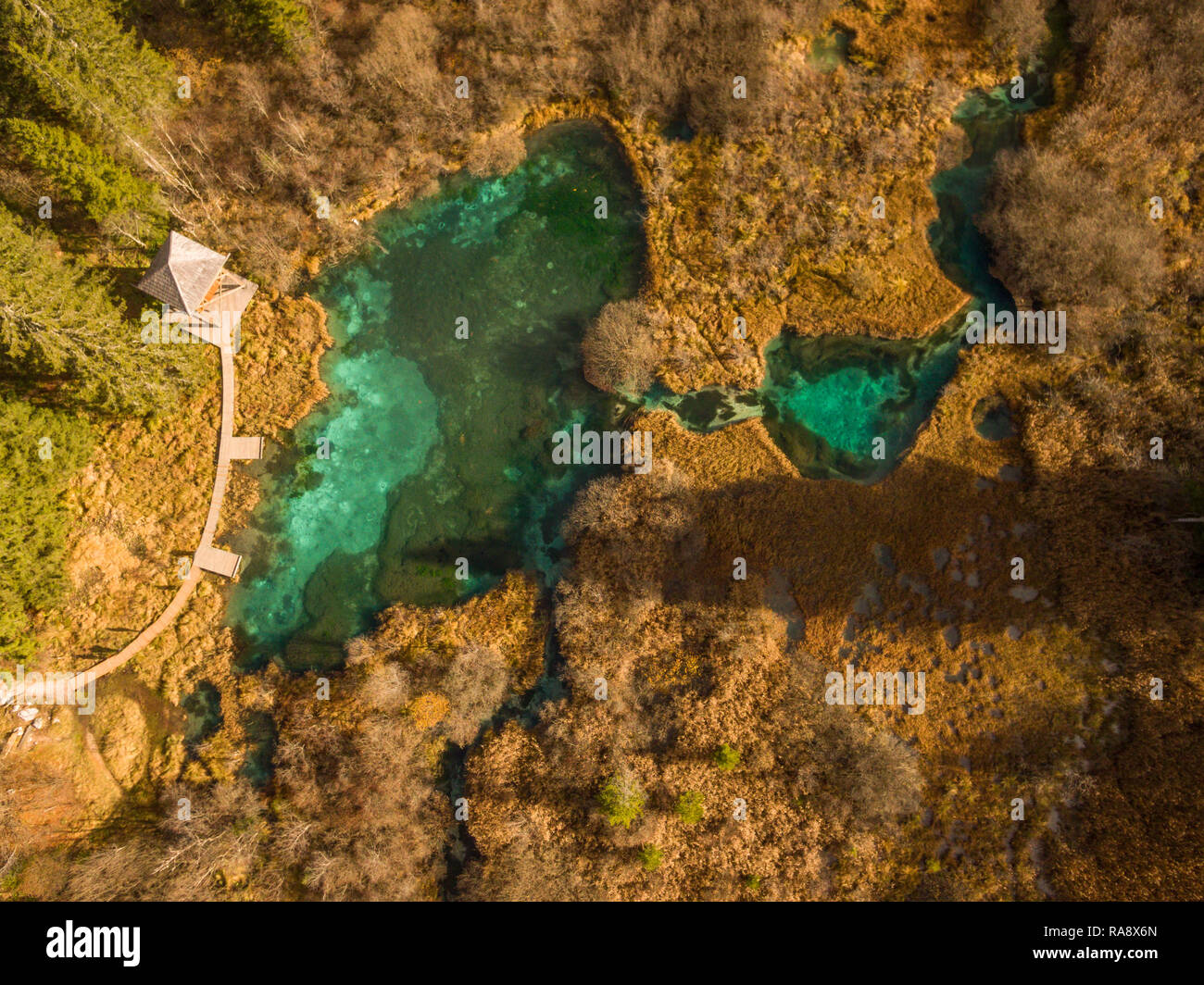 Luftbild der magischen Landschaft von Antenne Drone, Zelenci, Slowenien gesehen. Stockfoto