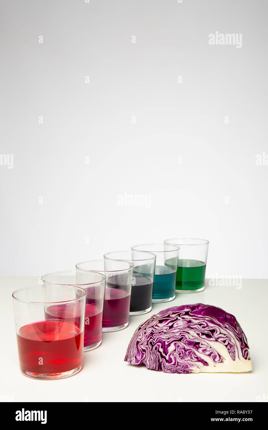 Farbverlauf von rotkohl Saft (pH-Indikator) in durchsichtig Gläser auf weißem Hintergrund Stockfoto