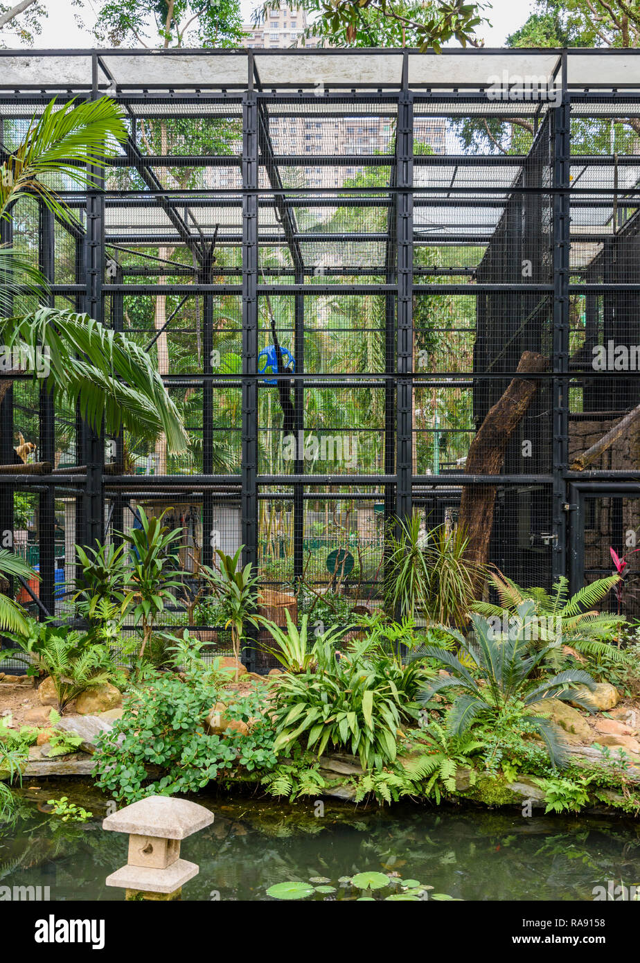 Große säugetier Gehäuse von Hong Kong Zoologische und Botanische Gärten, Central, Hong Kong Stockfoto