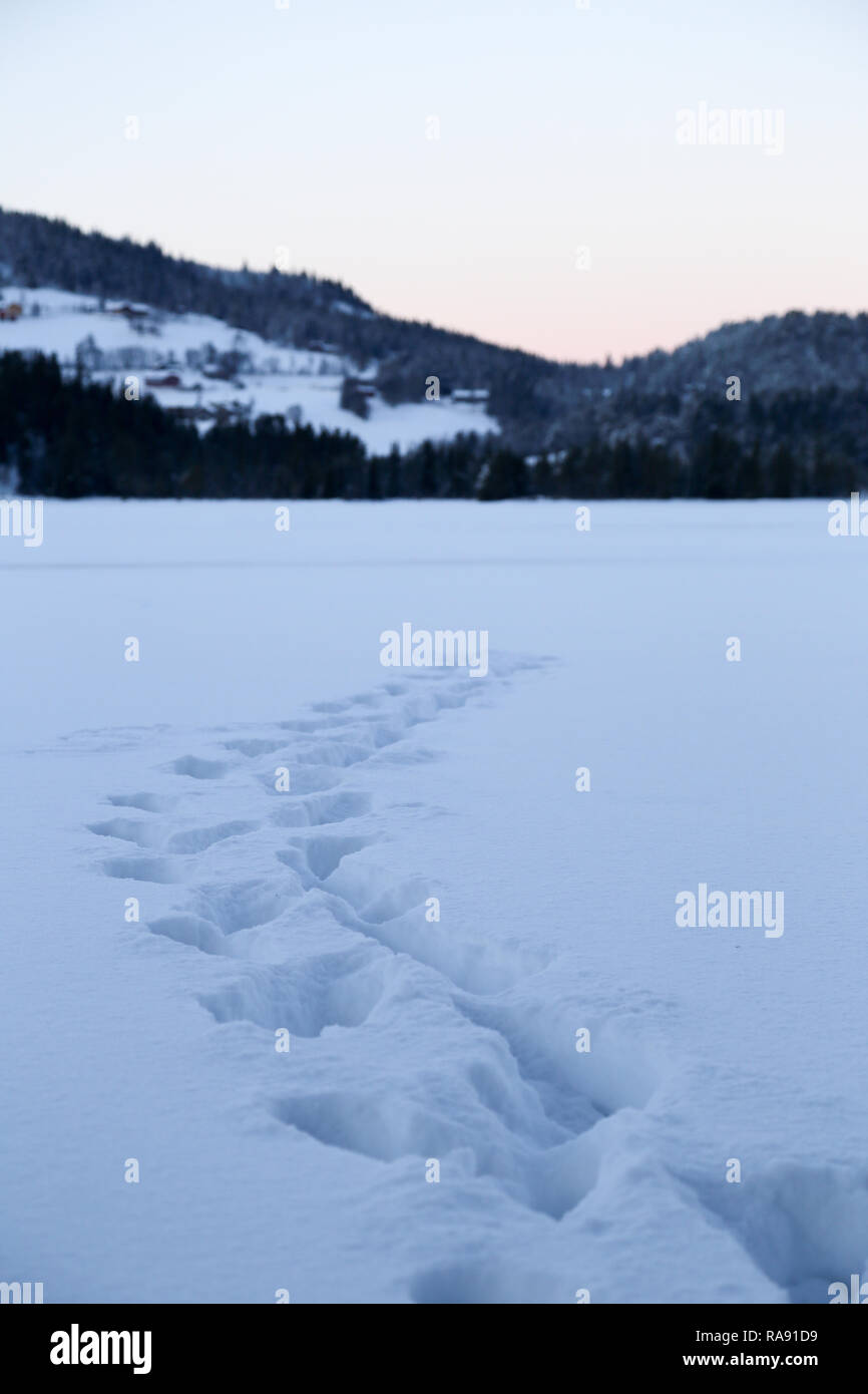 Fußspuren im Schnee Stockfoto