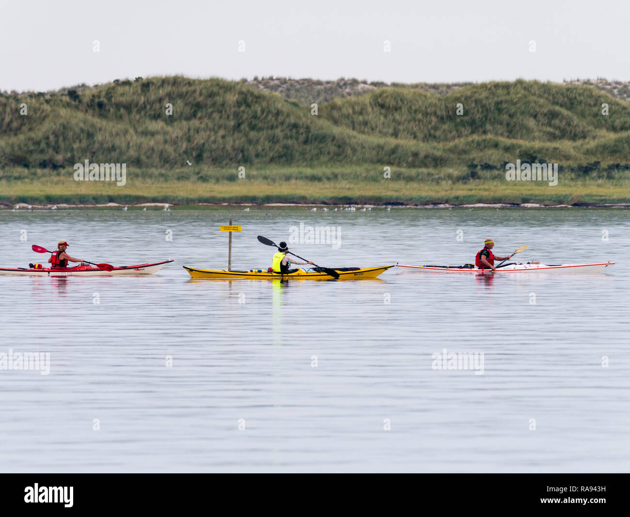 Personen Kajakfahren in der Nähe von Naturschutzgebiet "Het Oerd auf die Westfriesische Insel Ameland Wattenmeer, Friesland, Niederlande Stockfoto