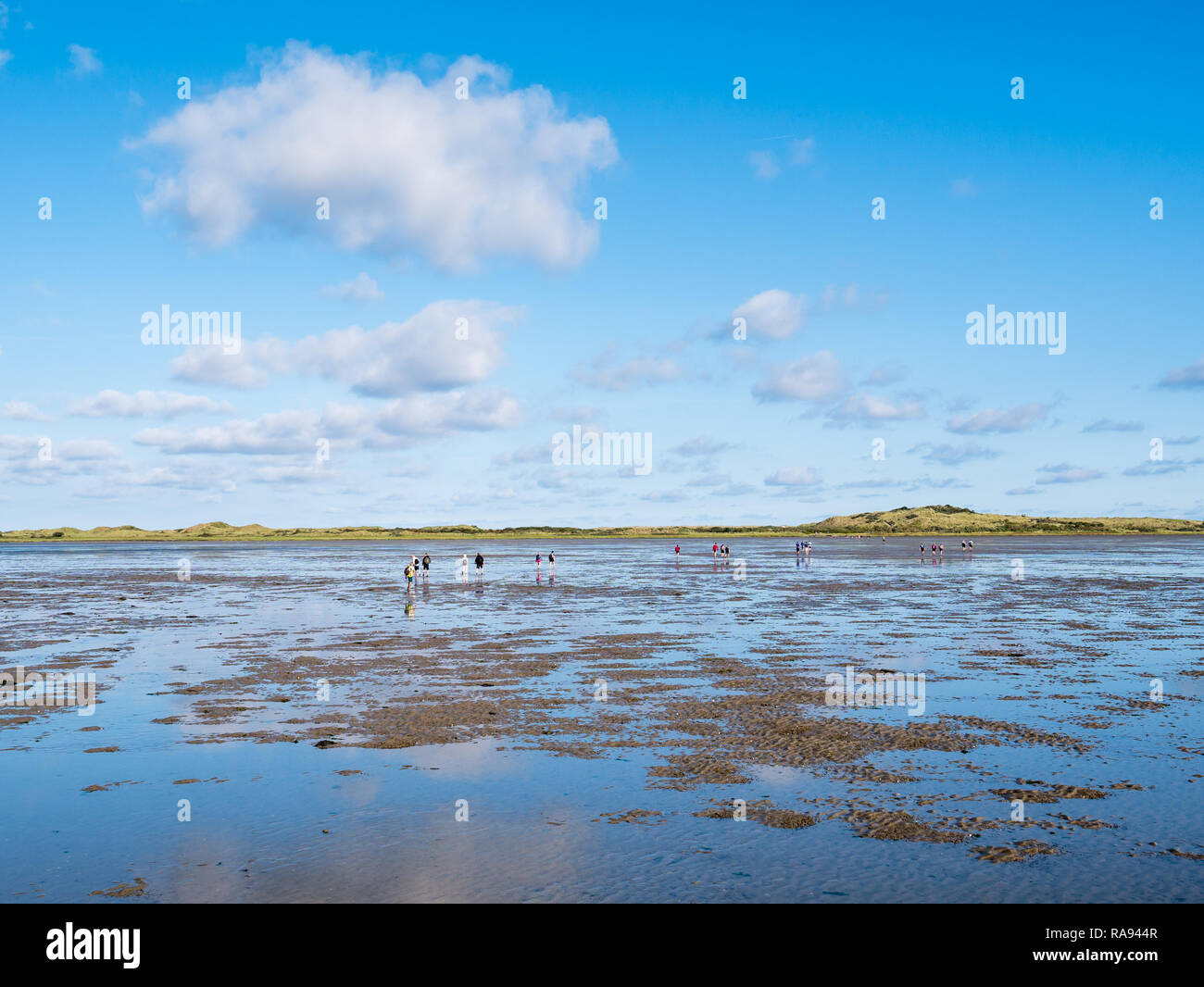 Gruppe von Menschen Schlamm flach Wandern auf Wattenmeer bei Ebbe aus Friesland die Westfriesische Insel Ameland, Niederlande Stockfoto