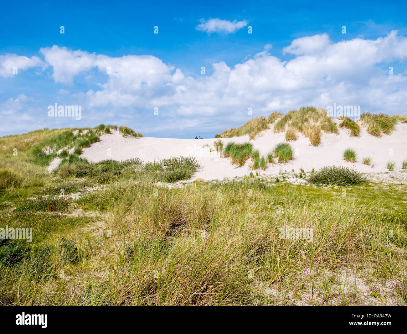 Ansicht der Rückseite zwei Leute zusammen sitzen entspannt auf Sand dune im Naturschutzgebiet "Het Oerd auf die Westfriesische Insel Ameland, Friesland, Niederlande Stockfoto