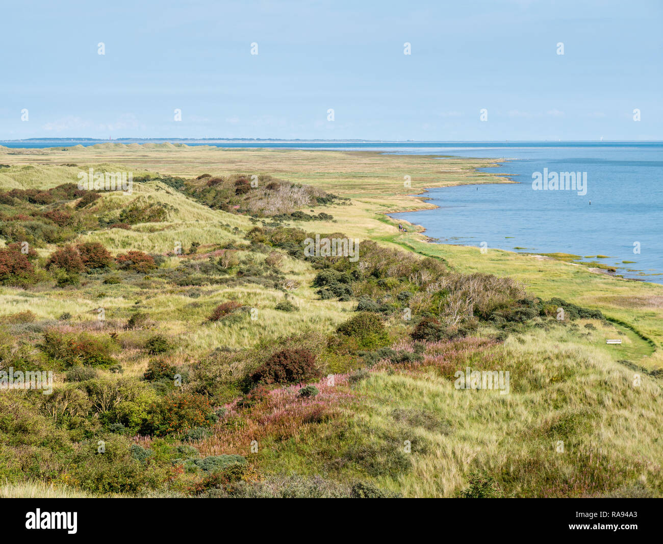 Panorama von Dünen und Wattenmeer Küste von Naturschutzgebiet "Het Oerd auf die Westfriesische Insel Ameland, Friesland, Niederlande Stockfoto