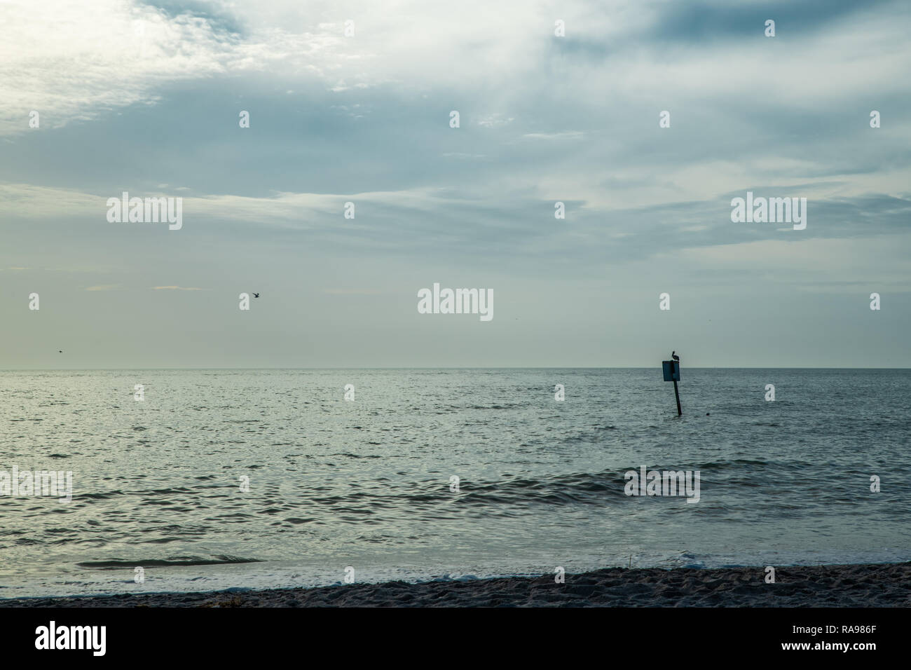 Ein Pelikan sitzt auf einem Schild am Strand in Florida - Manasota Key, Westküste, Punta Gorda Stockfoto