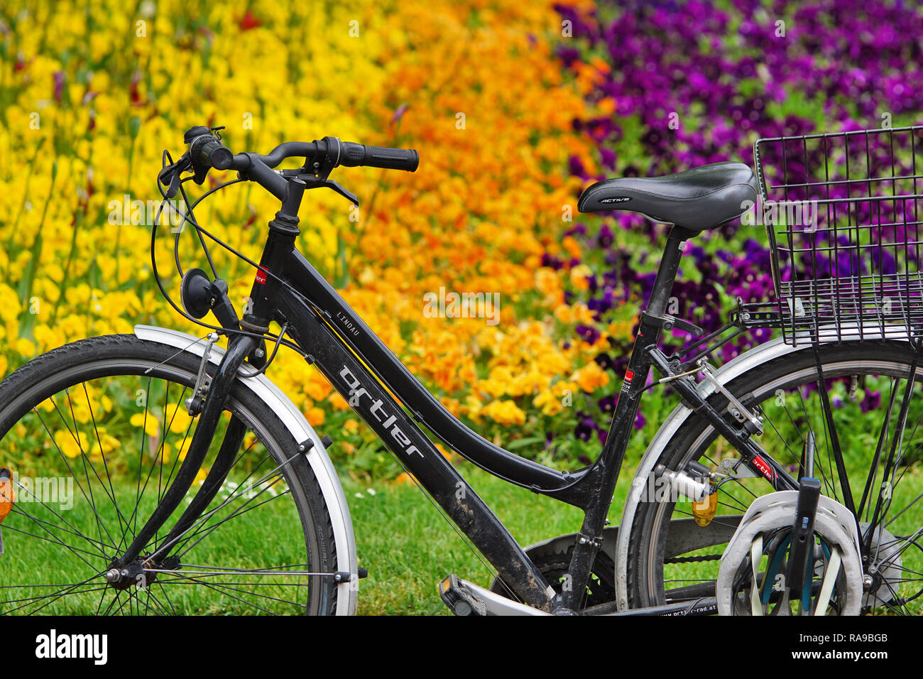 Fahrrad vor blütenpracht Stockfoto