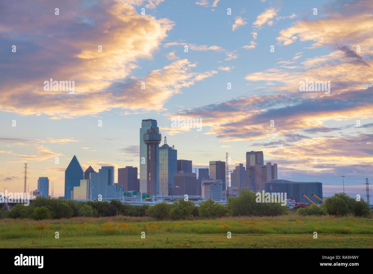 Überblick über die Innenstadt von Dallas am Morgen Stockfoto