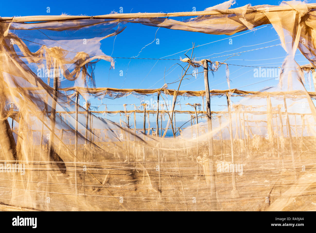 Zerrissen Verrechnung auf einer verlassenen Finca, Plantage, in Teneriffa, Kanarische Inseln, Spanien Stockfoto