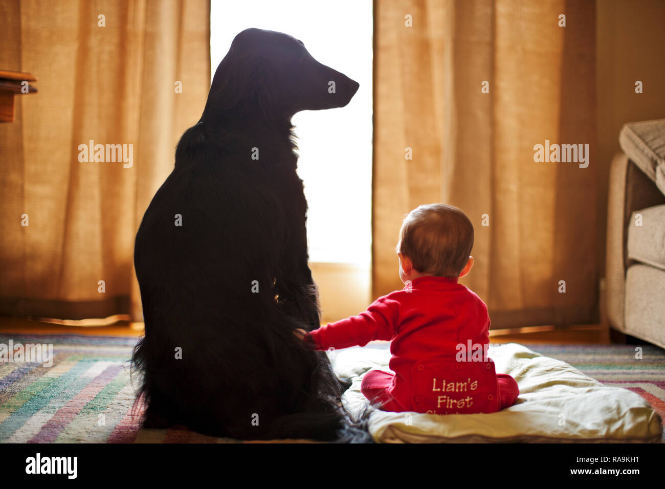 Junge Baby streicheln ein schwarzer Hund, während neben einander sitzen auf einem Bett vor einem Fenster. Stockfoto